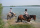A Califougeon - Tourisme Equestre à Saint Hilaire sous Romilly (10)