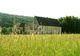 Abbaye de Reigny à Vermenton