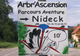 Arbr'Ascension du Nideck - Parcours Aventure en Forêt à Oberhaslach