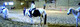 Blagnac Constellation Equitation - Centre Equestre à COLOMIERS