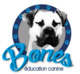 Tarif Bones Education Canine
