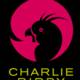 Contacter Charlie Birdy Commerce