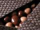 Avis et commentaires sur Chocolaterie de Puyricard