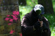 Contacter D-Day Paintball