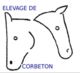 Elevage de Corbeton - Centre Equestre, Equitation, Chevaux, Poneys, Elevage à St Prix les Arnay (21)