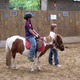 Fénicat équitation - Ecole d'Équitation à Bruz