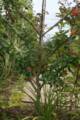 Avis et commentaires sur Jardins Fruitiers de Laquenexy