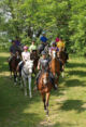 Balades et Randonnées à Cheval - Centre Equestre, Randonnées à Cheval, Hurepoix à Boissy-sous-Saint-Yon (91)