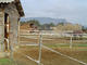 Les Murettes-Équitation - Centre Equestre à Roquebrune-sur-Argens