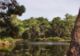Réservoirs de Piraillan - Patrimoine Naturel à Lège-Cap-Ferret