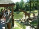 Vidéo Zoo de Jurques