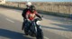 Photo Balade en moto Honda 1500 Goldwing
