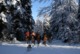 Week-end équestre hivernal Jura