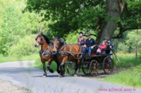 A Cheval un Point c'est tout - Promenade en Attelage à Tilly (78)