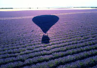 Aéronefs et Aerostats de Provence - Montgolfière à Reillanne