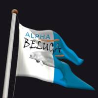 Alpha Beluga - Club de Plongée à Fréjus