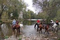 Amicale de Cavaliers Randonneurs - Randonnée à Cheval à Saint Jean de Cornies (34)