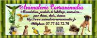 Animalerie Corsanimalia - Animalerie à Azilone Ampaza (20)