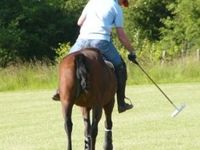 Anjou Polo Club - Gîte à Noyant-la-Gravoyère