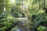 Arboretum des Prés des Culands à Meung-sur-Loire (45)