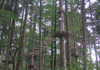 Arbr'Ascension du Nideck - Parcours Aventure en Forêt à Oberhaslach