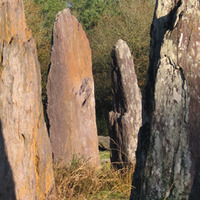 Archeosite de Monteneuf - Site Archéologique à Monteneuf