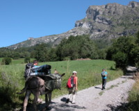 Asinerie le Sentier des Anes - Randonnée avec Ane à Saint Julien en Champsaur (05)