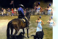 Ass Chevaux Iberiques - Spectacle Equestre à Saint Hilaire de Brethmas