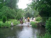 Association sportive Horse de Maisons-Laffitte - Randonnée à Cheval à Maisons-Laffitte