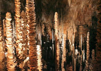 Aven Armand - Grotte et gouffre à Hures-la-Parade