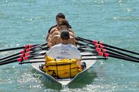 AVIRON DU CABELLOU à Concarneau