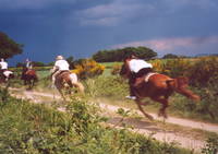 Ayacheval - Randonnée à Cheval à Ayat-sur-Sioule