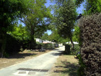 Camping des Gros Joncs à Saint-Georges-d'Oléron