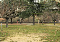 Camping Les Cèdres à Apt