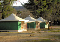 Camping Les Cèdres à Apt