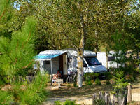 Camping Municipal des Demoiselles - Camping à Saint-Hilaire-de-Riez (85)