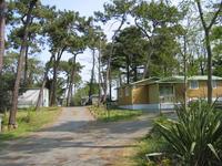 Camping Municipal le Vieux Moulin à La Tranche-sur-Mer