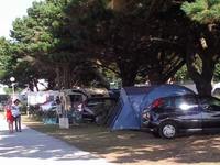 Camping Park Er Lann à Saint-Pierre-Quiberon