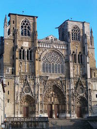 Cathédrale Saint-Maurice - Cathédrales à Vienne (38)