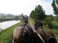 Centre de Promotion du Cheval de Trait Auxois - Centre Equestre à Bierre-lès-Semur