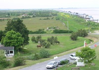 Centre de Tourisme Équestre - Randonnée à Cheval à Saint-Vivien-de-Médoc