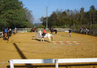 Centre Equestre de Chatelars à Mazerolles