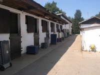 Centre équestre de la Côte - Centre Equestre à Neuville-les-Dames