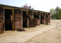 Centre équestre de la Vignotte - Centre Equestre à Arceau