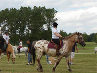 CENTRE EQUESTRE DE MADINE à NONSARD