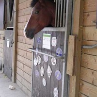 Centre Equestre de Samois - Poney Club à Samois-sur-Seine