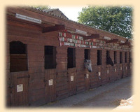 Centre Équestre de Tremelin - Centre Equestre à Iffendic