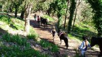 Centre équestre des Adrets - la Carriole - Centre Equestre - Les Adrets de l'Esterel