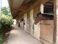 Centre Equestre des Bauges - Centre Equestre Ã  Lescheraines