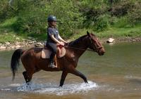 Centre equestre des Combes - Randonnée à Cheval à Chandolas